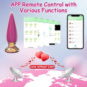 Silicone Anal Plug USB chargeable vibrator Mobile APP