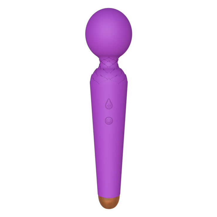 Pussy Wand Massage Vibrator Sex Toys