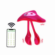 APP remote control egg vibrator