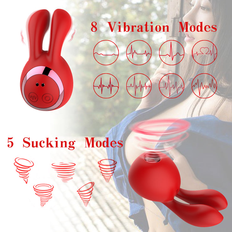 Rabbit Sucking Vibrator