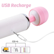 Licking and Sucking 2 in 1 Wand Massager