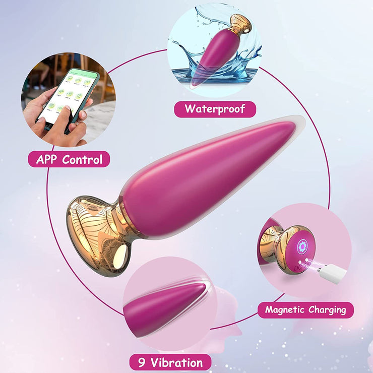 Silicone Anal Plug USB chargeable vibrator Mobile APP