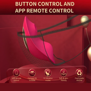 Panty vibrator with APP remote control