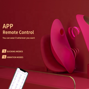 Panty vibrator with APP remote control